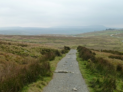 Cars in the Distance