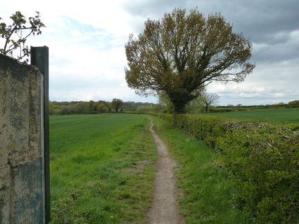Towards Temple Newsam