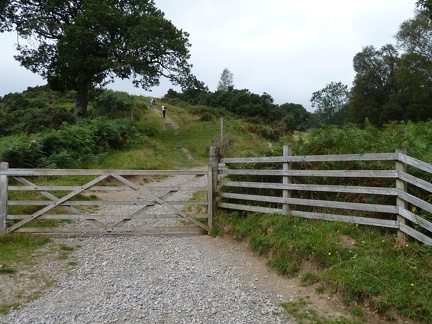 The Way We Came