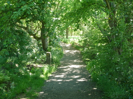 Meanwood Valley Trail
